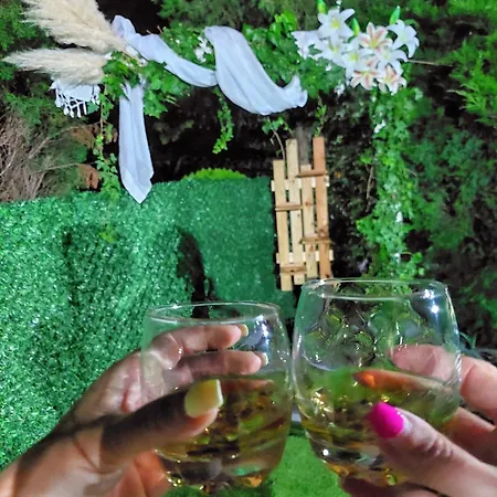 Hébergement de vacances Vikendica Drinski Mir *