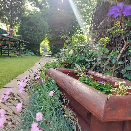 Vikendica Drinski Mir Holiday home Loznica