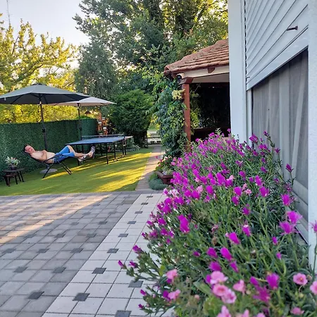 Vikendica Drinski Mir Hébergement de vacances Loznica