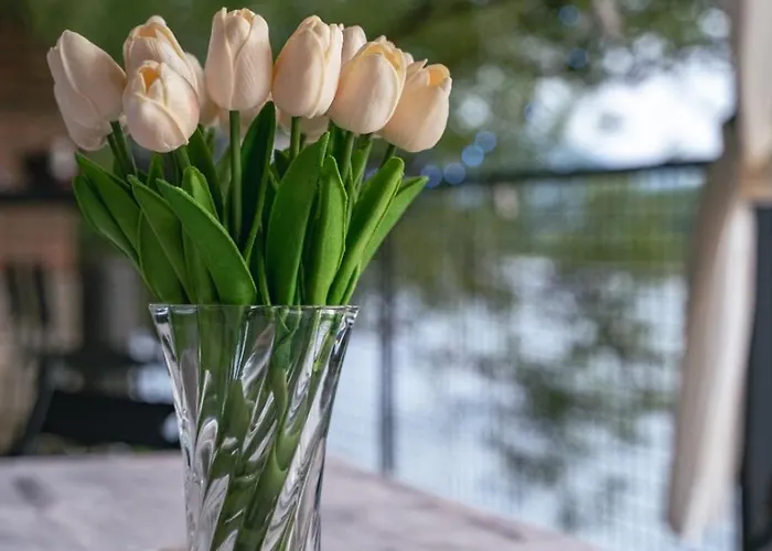 Vikendica Drinski Mir 洛兹尼察