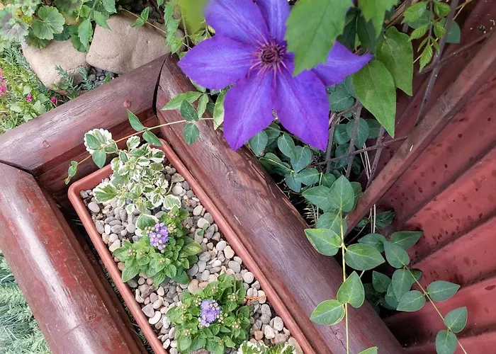 Vikendica Drinski Mir *