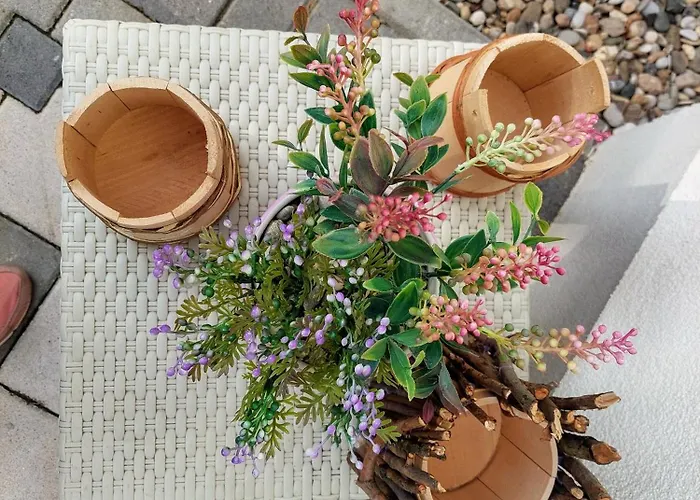 Vikendica Drinski Mir * 洛兹尼察